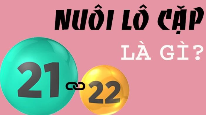 Tổng quan về lô cặp Tong quan ve lo cap truc tuyen