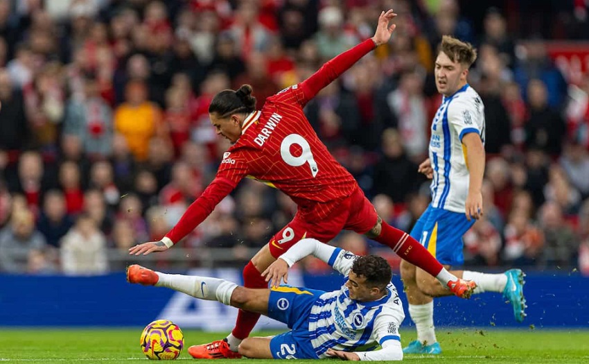 Phân tích phong độ Brighton vs Liverpool chính xác Nhan dinh tran Brighton vs Liverpool toi nay